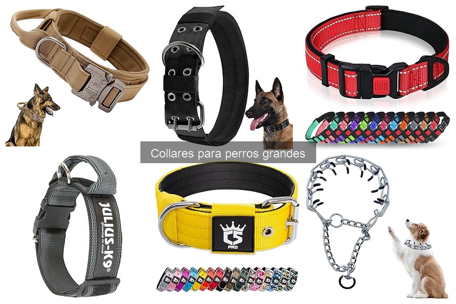 Mejores collares para perros grandes que tiran en 2023