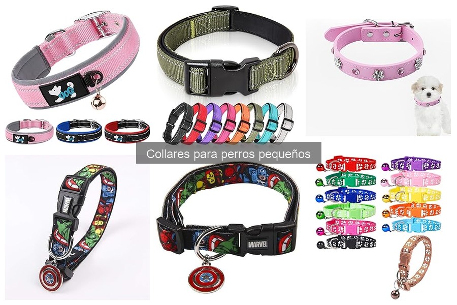 Mejores collares para perros pequeños: guía de compra
