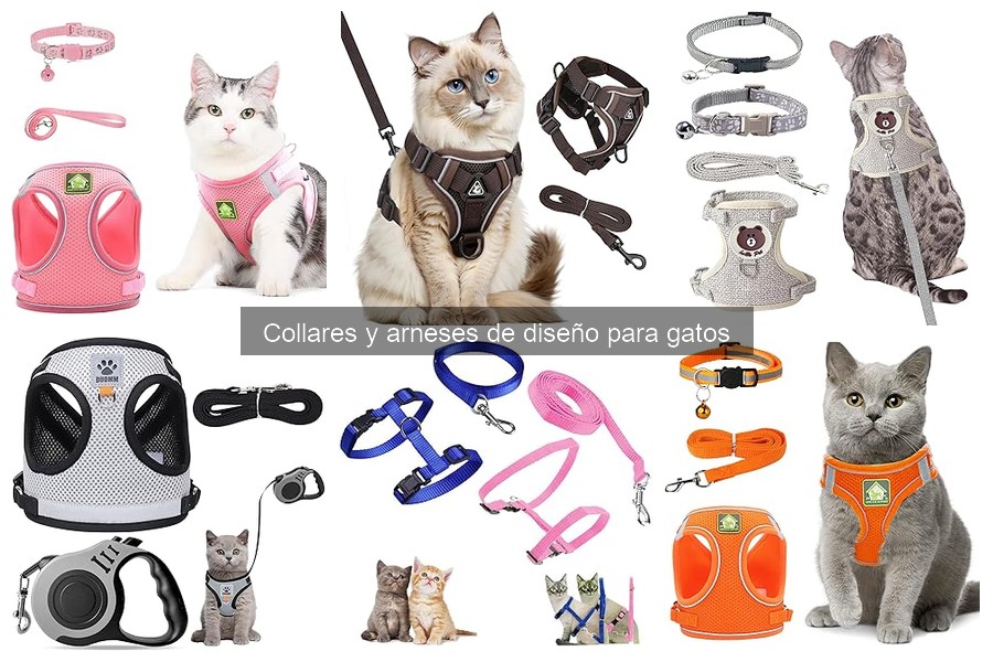 Mejores collares y arneses de diseño para gatos pequeños