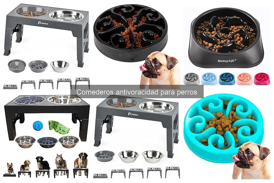 Mejores comederos antivoracidad para perros grandes 2023