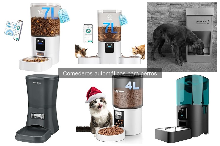 Mejores comederos automáticos para perros en 2023