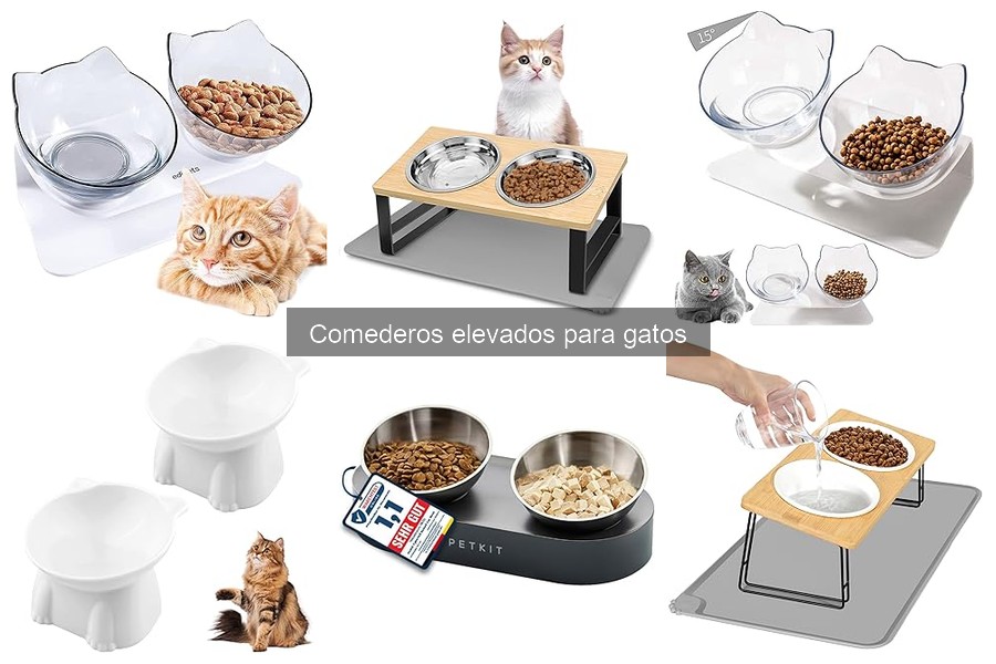 ** Mejores comederos elevados para gatos según tamaño y raza