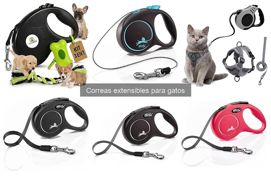 Mejores correas extensibles para gatos: comparativa de marcas