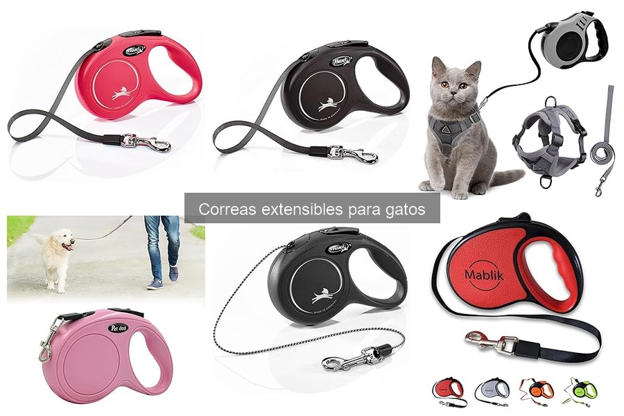 Mejores correas extensibles para gatos según opiniones