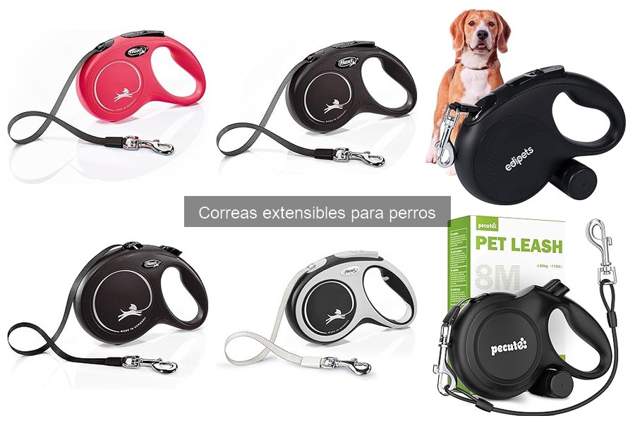 Mejores correas extensibles para perros grandes: comparativa