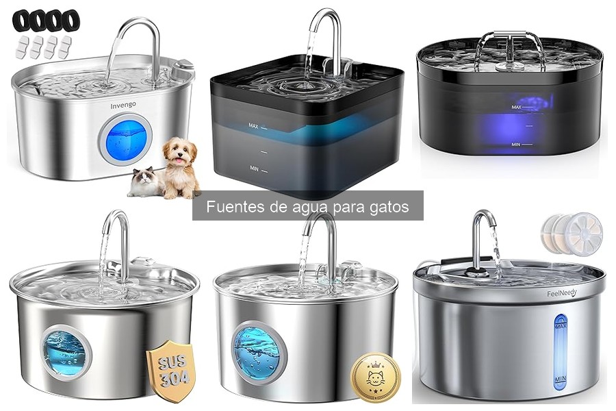 Mejores Fuentes de Agua para Gatos en 2023: Comparativa