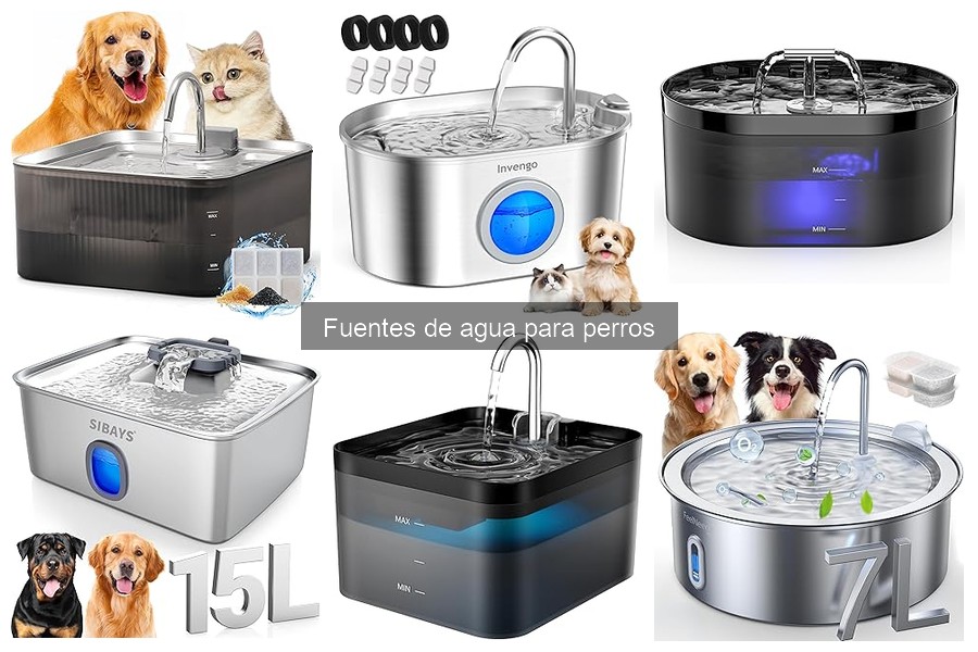 Mejores fuentes de agua para perros en 2023: Comparativa y precios