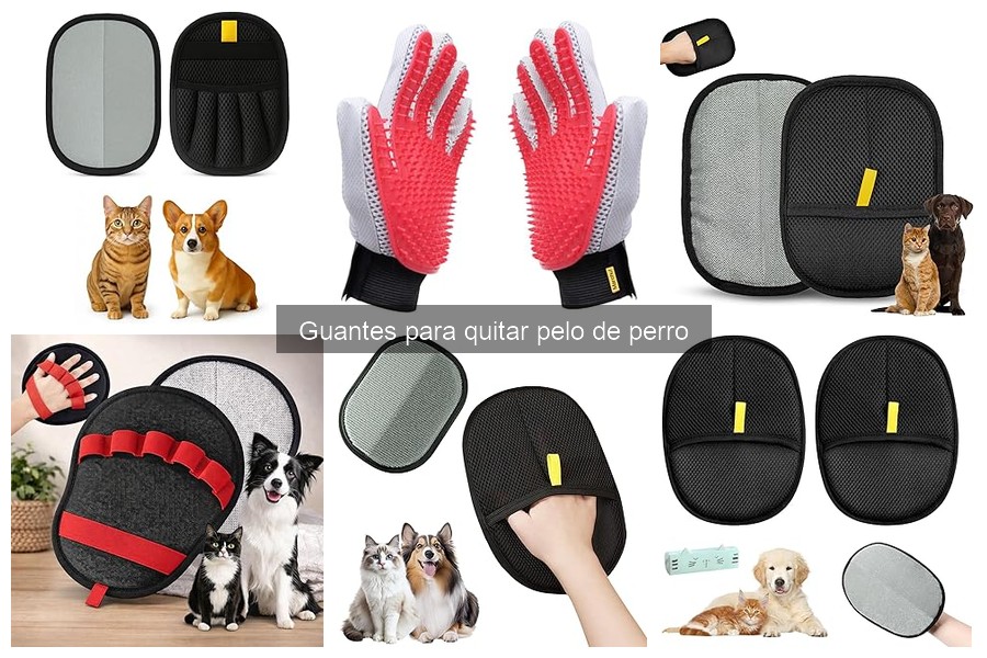 Mejores guantes para quitar pelo de perro según su pelaje