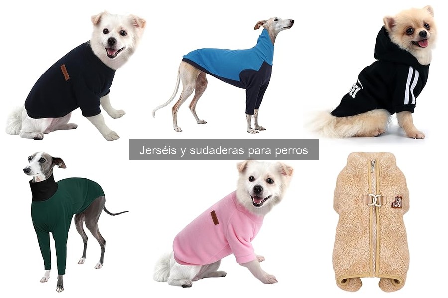 Mejores jerséis y sudaderas para perros de razas pequeñas