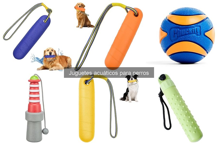 Mejores juguetes acuáticos para perros de razas grandes