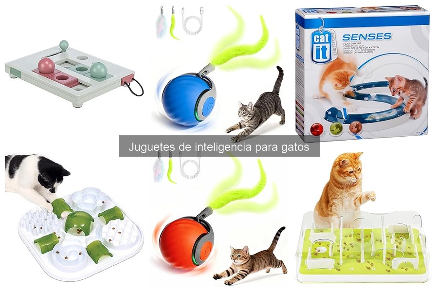 Mejores juguetes de inteligencia para gatos mayores