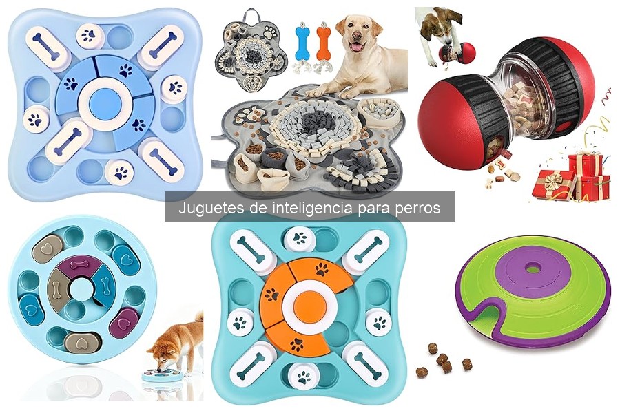 Mejores juguetes de inteligencia para perros ancianos y con discapacidad