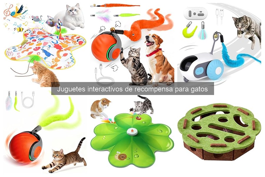 Mejores juguetes interactivos para gatos mayores y especiales
