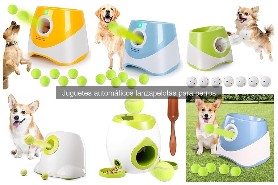 Mejores juguetes lanzapelotas automáticos para perros 2023