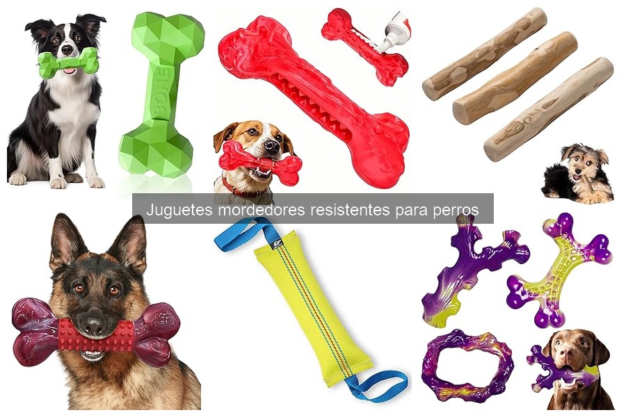 Mejores juguetes mordedores resistentes para perros grandes
