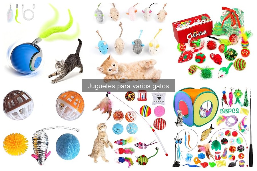 Mejores juguetes para gatos: recomendaciones y consejos