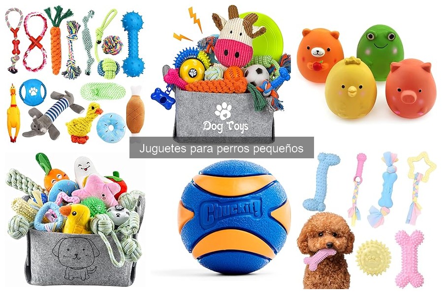Mejores juguetes para perros pequeños: recomendaciones 2023