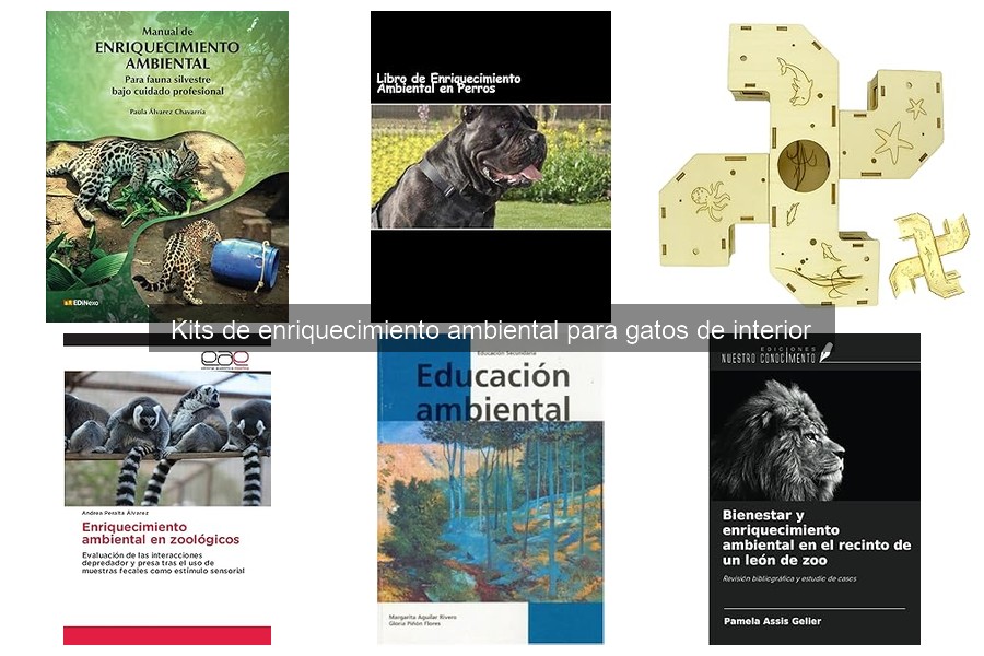 Mejores kits de enriquecimiento ambiental para gatos de interior