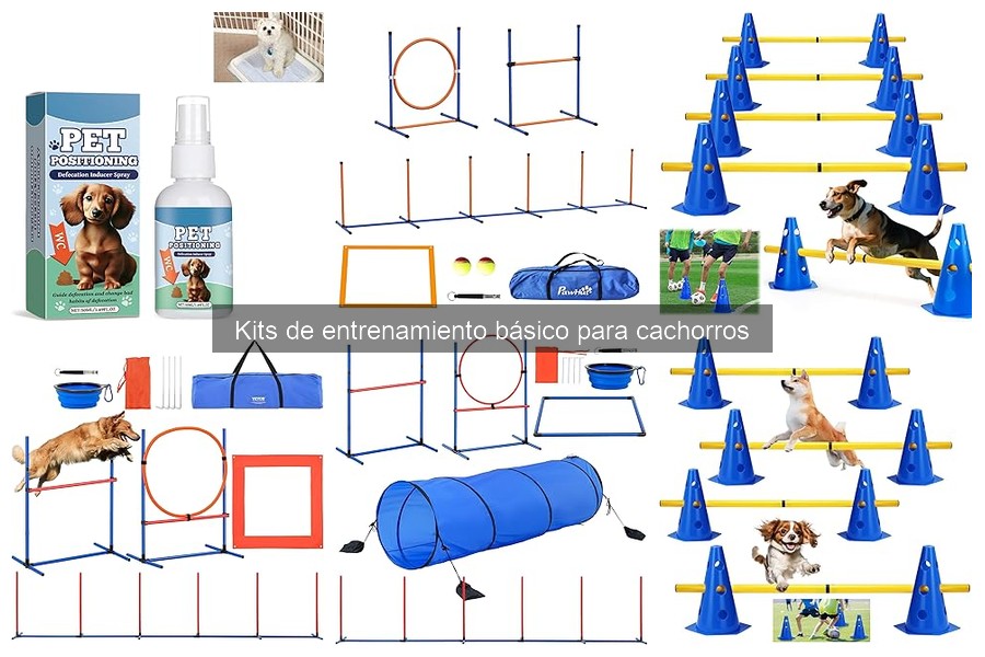 Mejores kits de entrenamiento básico para cachorros 2023