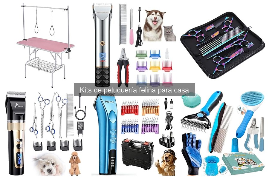 Mejores kits de peluquería para gatos: comparativa y análisis