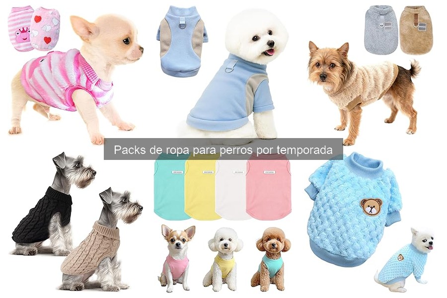 Mejores looks de ropa para perros en invierno 2023