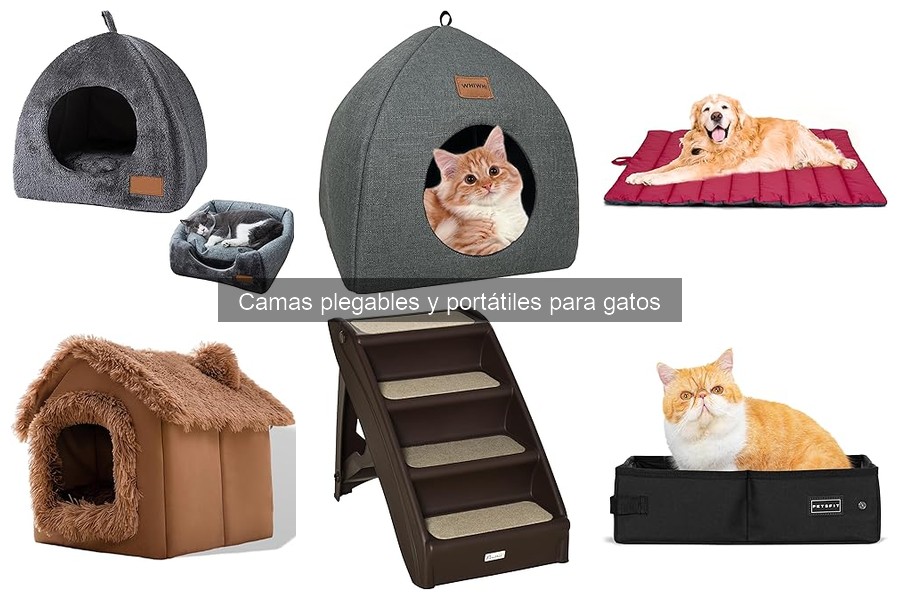 Mejores lugares para comprar camas plegables para gatos