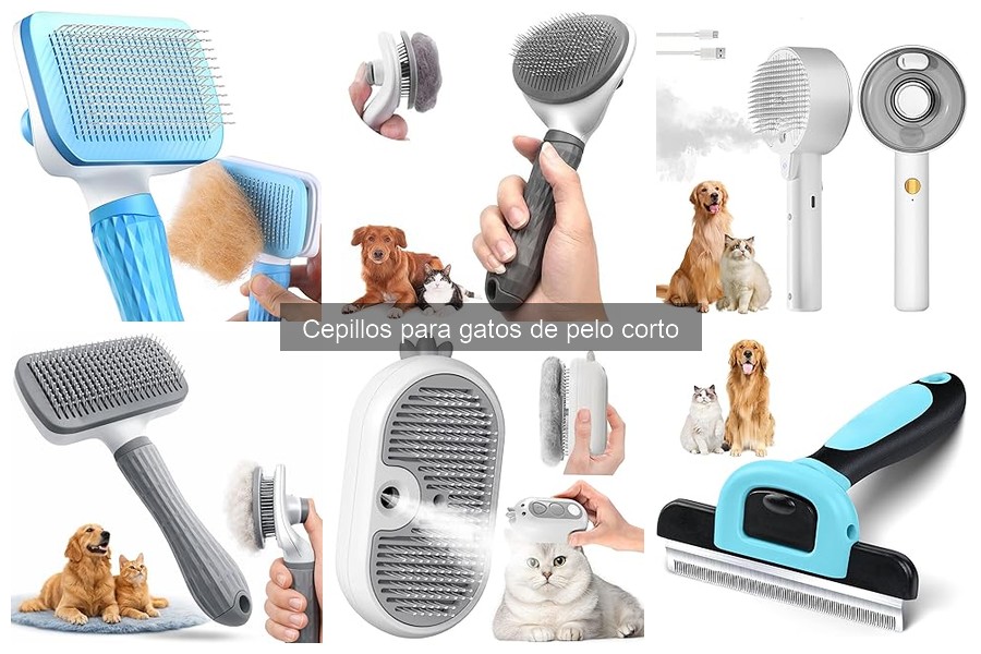 Mejores lugares para comprar cepillos para gatos de pelo corto