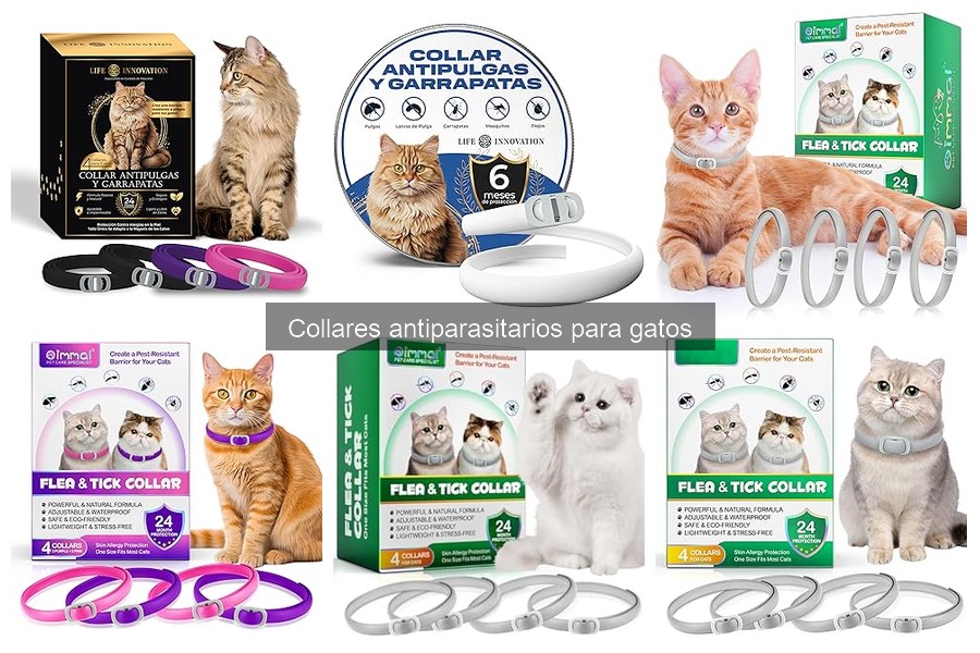 Mejores lugares para comprar collares antiparasitarios para gatos