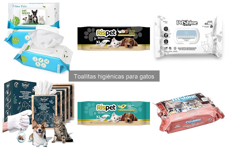 Mejores lugares para comprar toallitas higiénicas para gatos