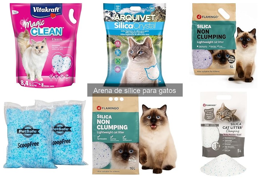 Mejores marcas de arena de sílice para gatos en 2023