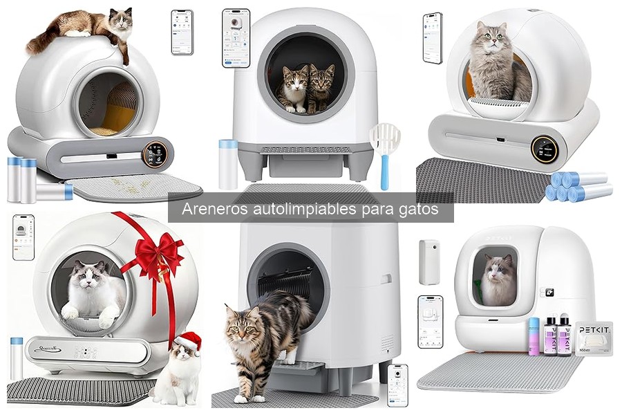 Mejores marcas de areneros autolimpiables para gatos