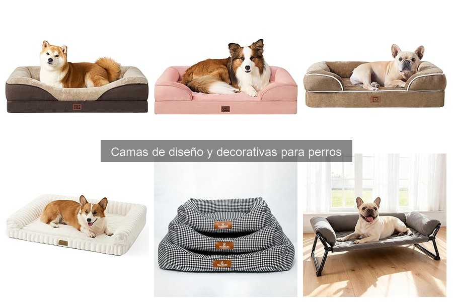 Mejores marcas de camas de diseño para perros en 2023