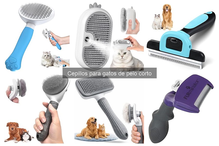 Mejores marcas de cepillos para gatos de pelo corto