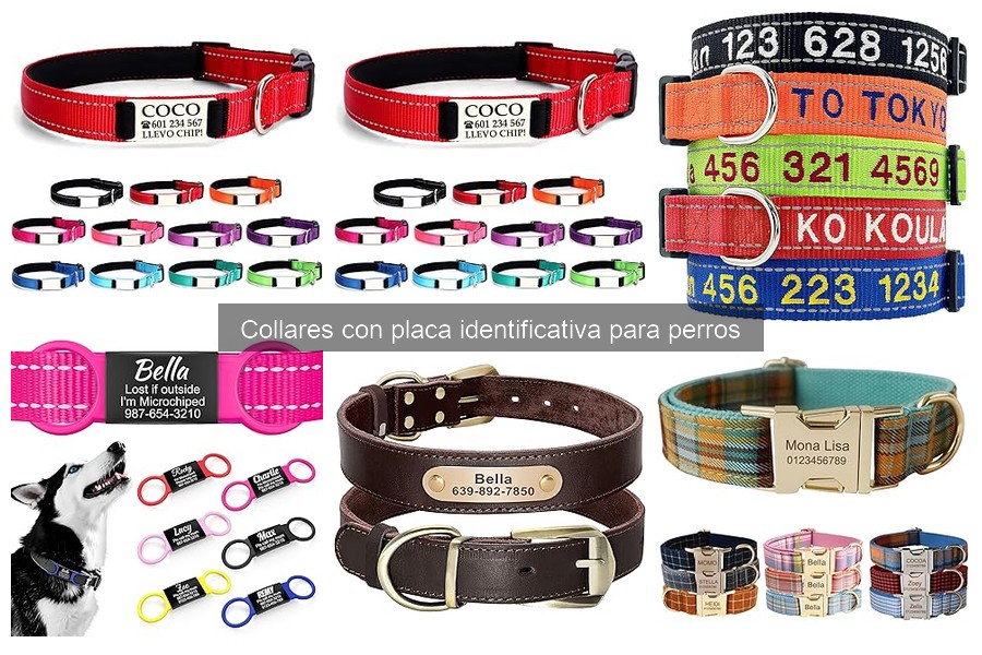 Mejores marcas de collares identificativos para perros