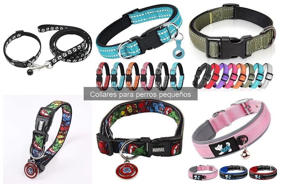 Mejores marcas de collares para perros pequeños en 2023