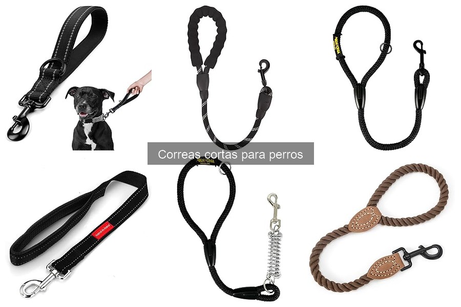 Mejores marcas de correas cortas para perros en 2023