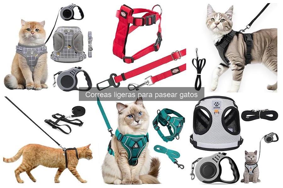 Mejores marcas de correas ligeras para pasear gatos