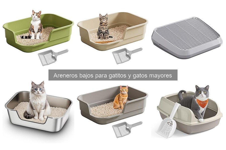 ** Mejores materiales para areneros bajos para gatos y gatitos