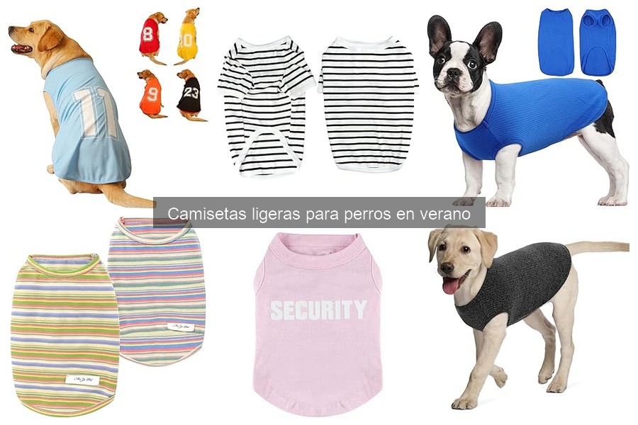 Mejores materiales para camisetas ligeras para perros en verano