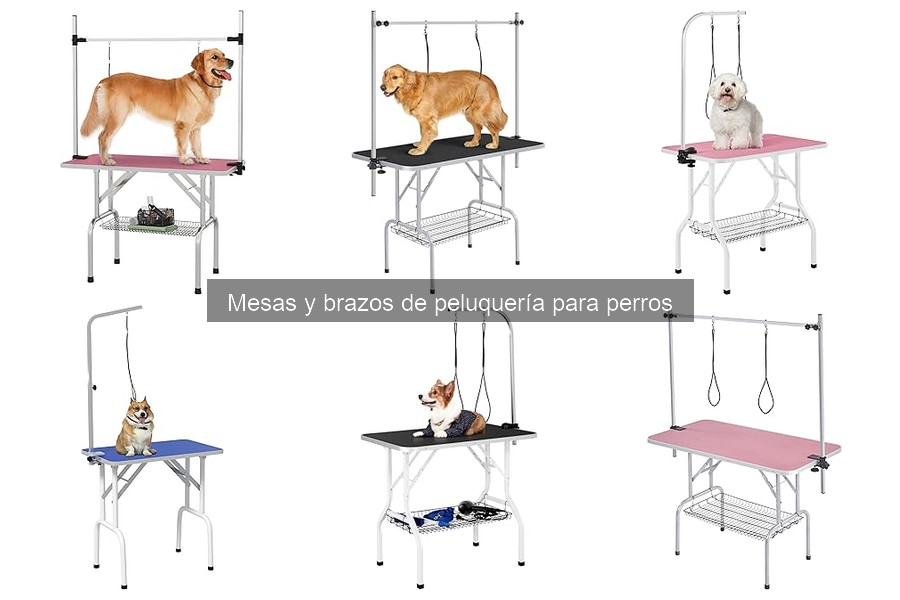 Mejores mesas de peluquería para perros en 2023