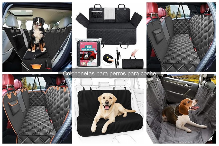 Mejores Métodos para Limpiar Colchonetas para Perros en Coche
