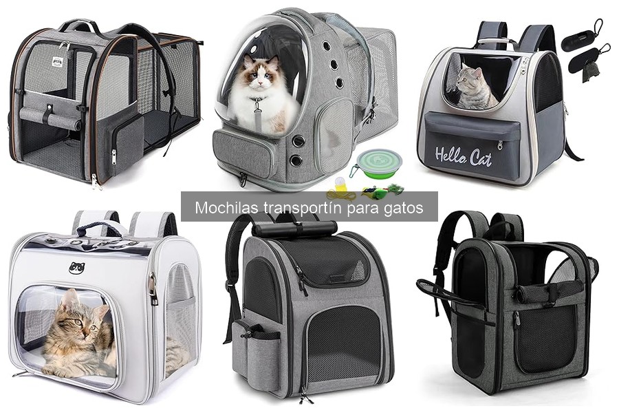 Mejores mochilas transportín para gatos en 2023