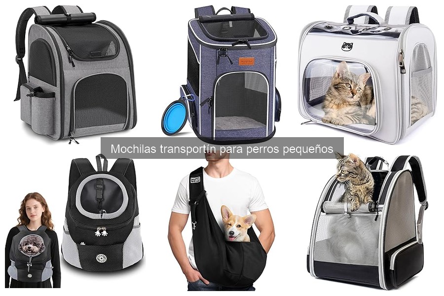 Mejores mochilas transportín para perros pequeños en 2023