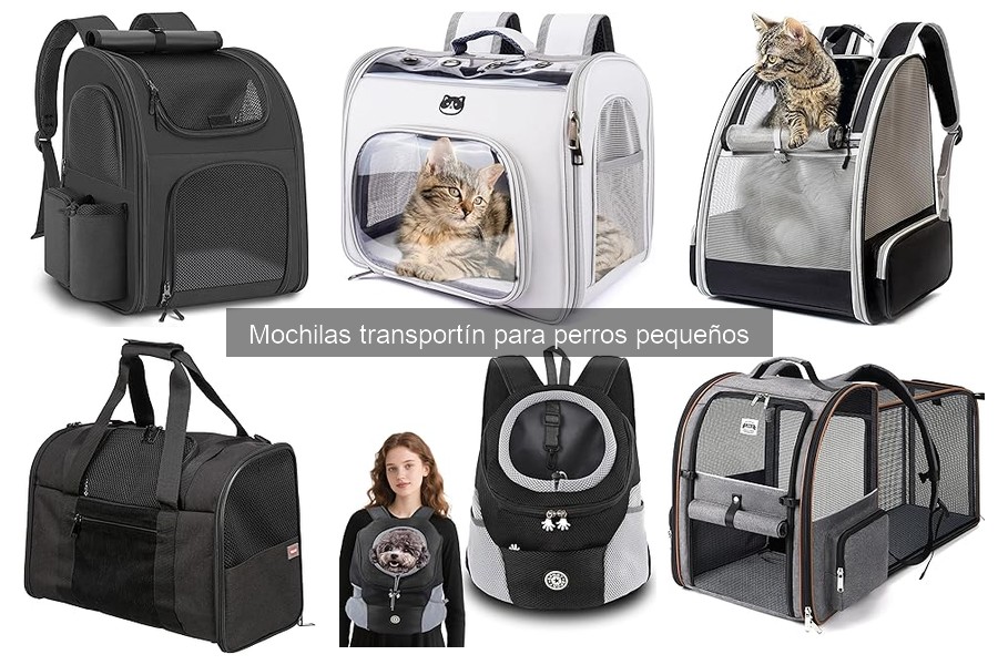 Mejores mochilas transportín para perros pequeños en viajes largos