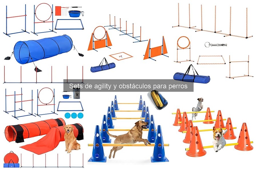 Mejores obstáculos para entrenar agility en perros