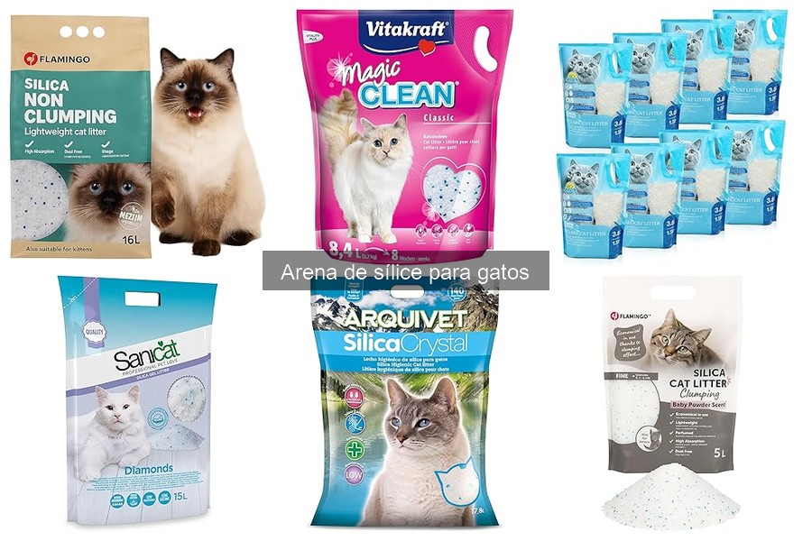 Mejores ofertas de arena de sílice para gatos en 2023