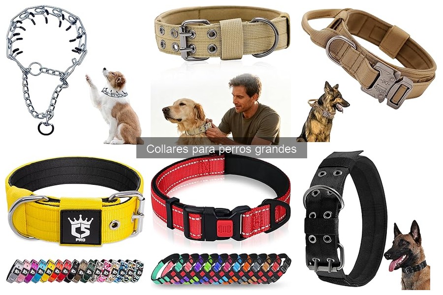 Mejores ofertas de collares para perros grandes en Amazon