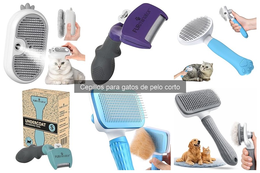 Mejores ofertas en cepillos para gatos de pelo corto