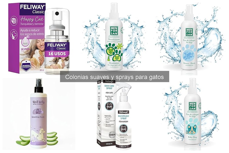 Mejores ofertas y dónde comprar colonias suaves para gatos