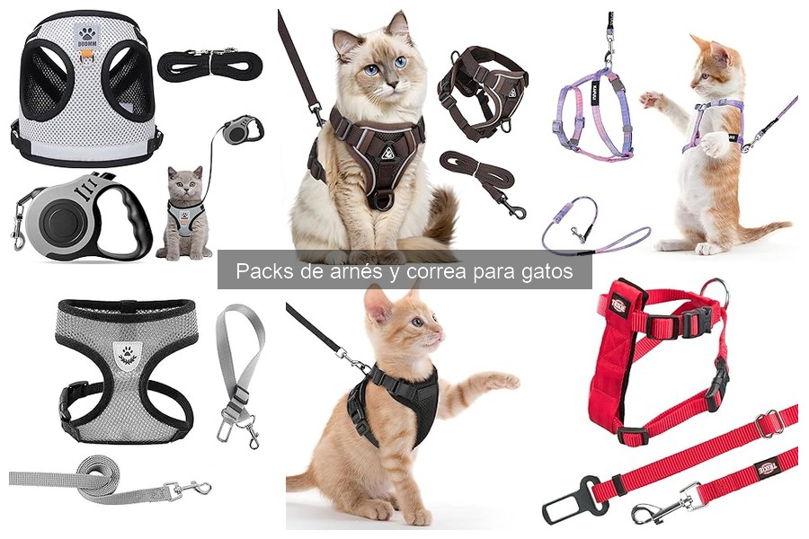 Mejores Packs de Arnés y Correa para Gatos: Comparativa 2023